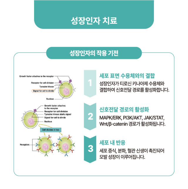 Hairderm 1.8 (Hairderm 1.8)