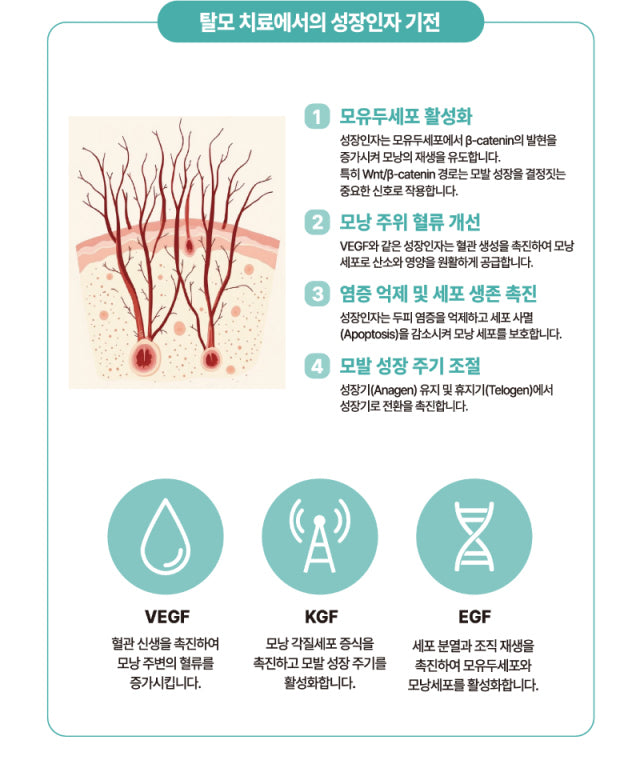 Hairderm 1.8 (Hairderm 1.8)