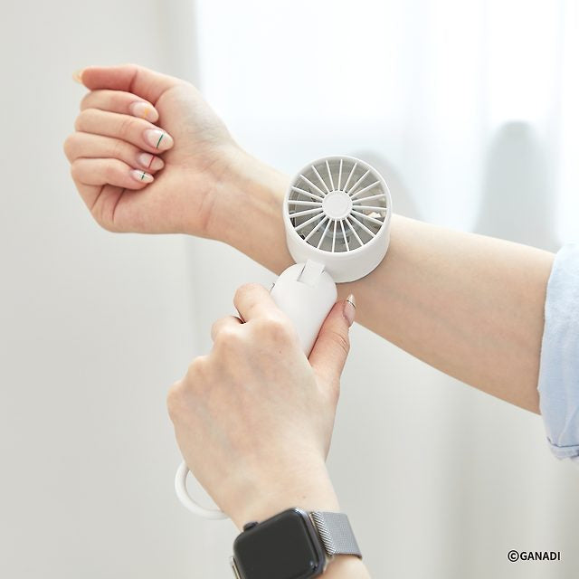 Ganadi Rapid Cooling Portable Mini Hand Fan (USB C Type)