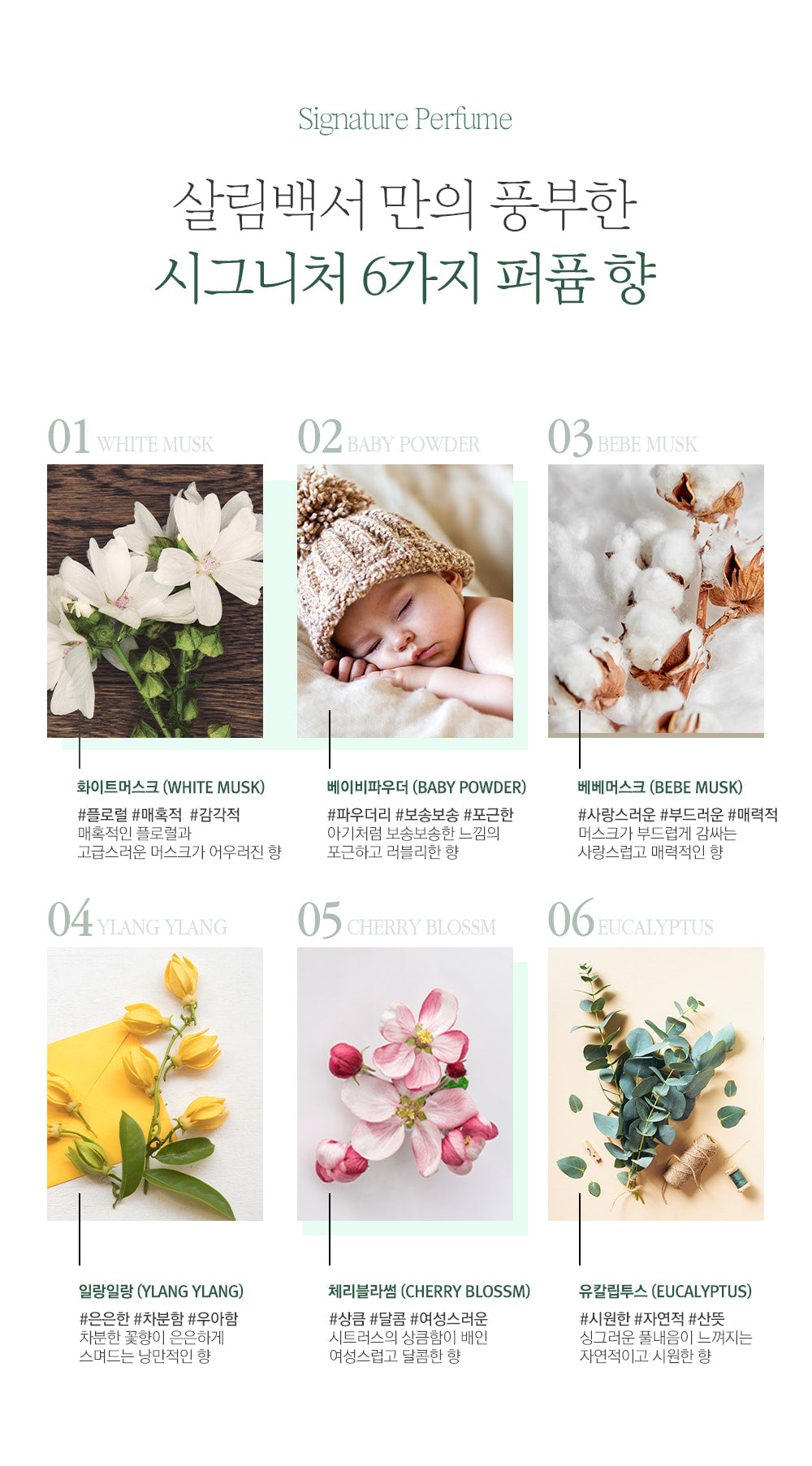 Sallim Baekseo Opuntia & Bamboo Hair Therapy Shampoo 500 ML