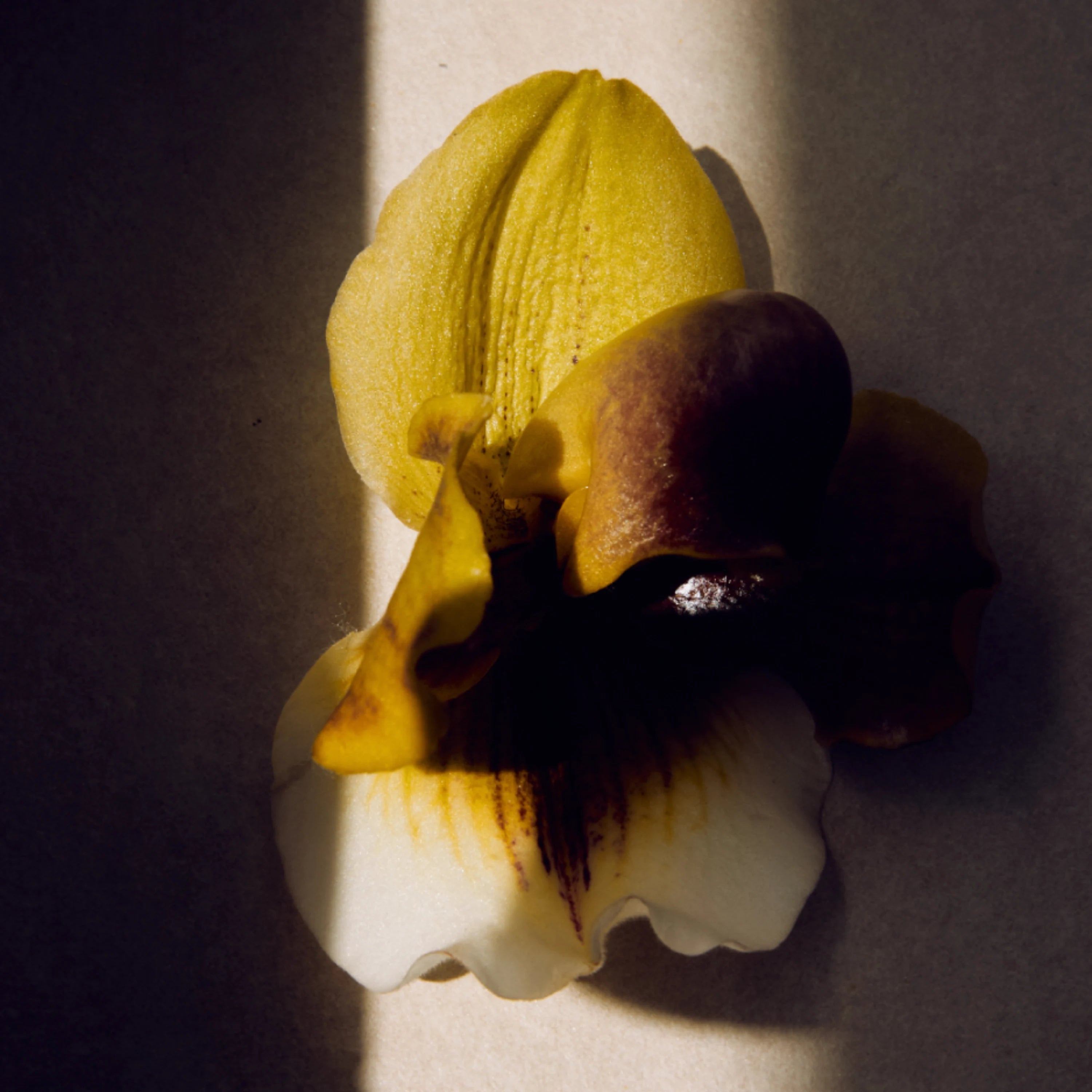 3_4_9a083848-2143-4f9f-9ae5-1a551eb18a1e.webp