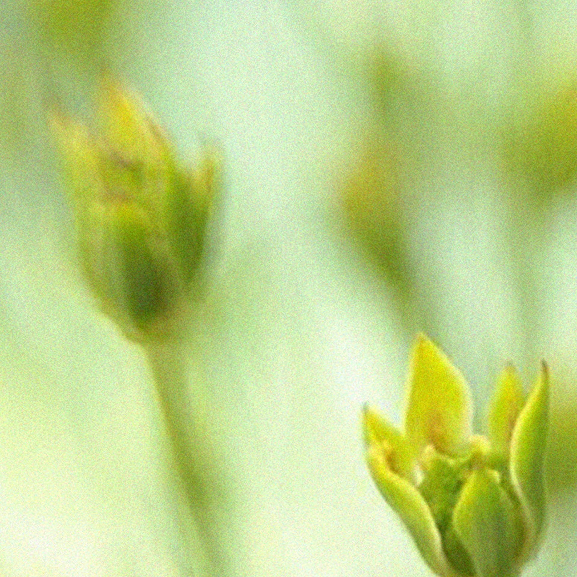 3c07032d9c555.jpg
