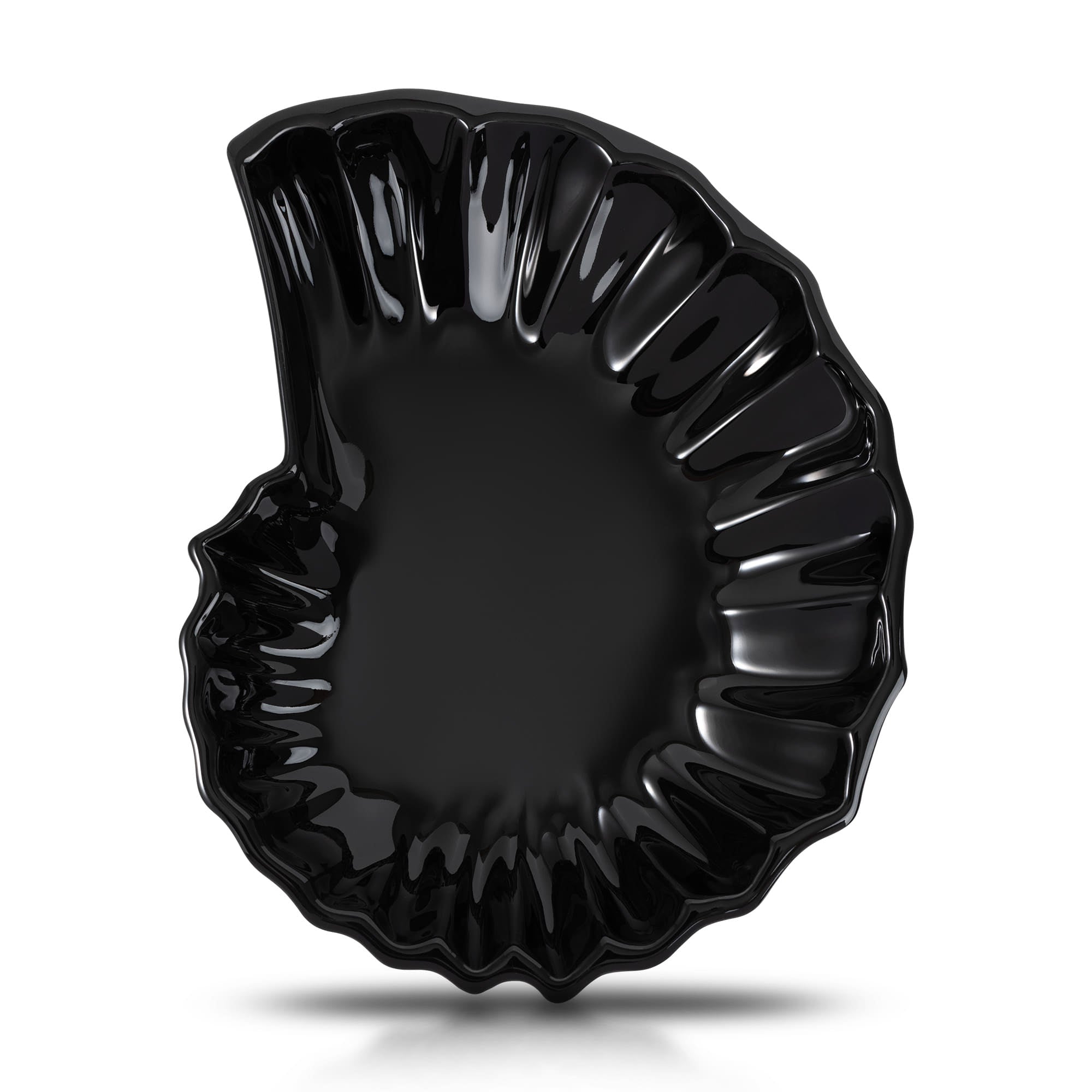 Leejae Ammonite Plate 2COLOR