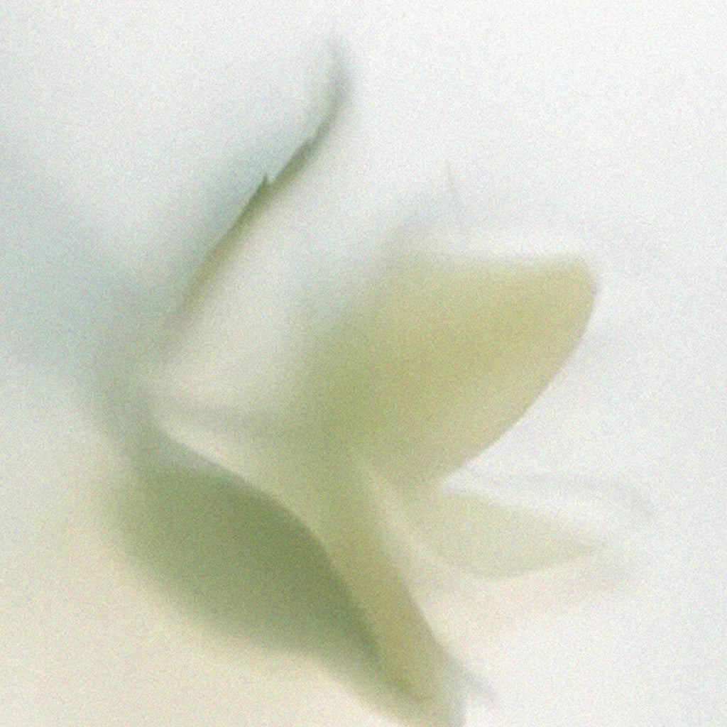 995fc76a8570a.jpg