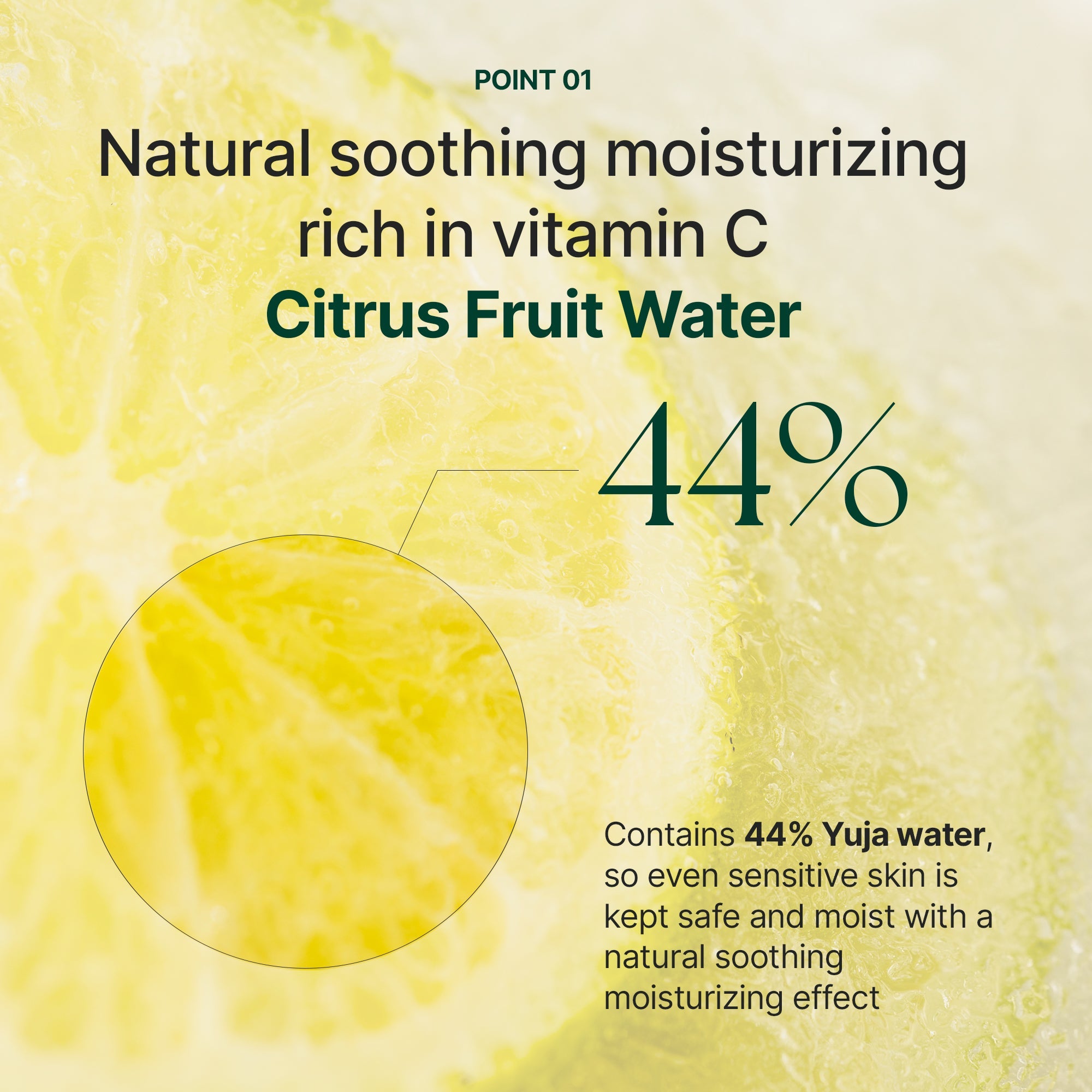 Cerafit Time Intense Toner