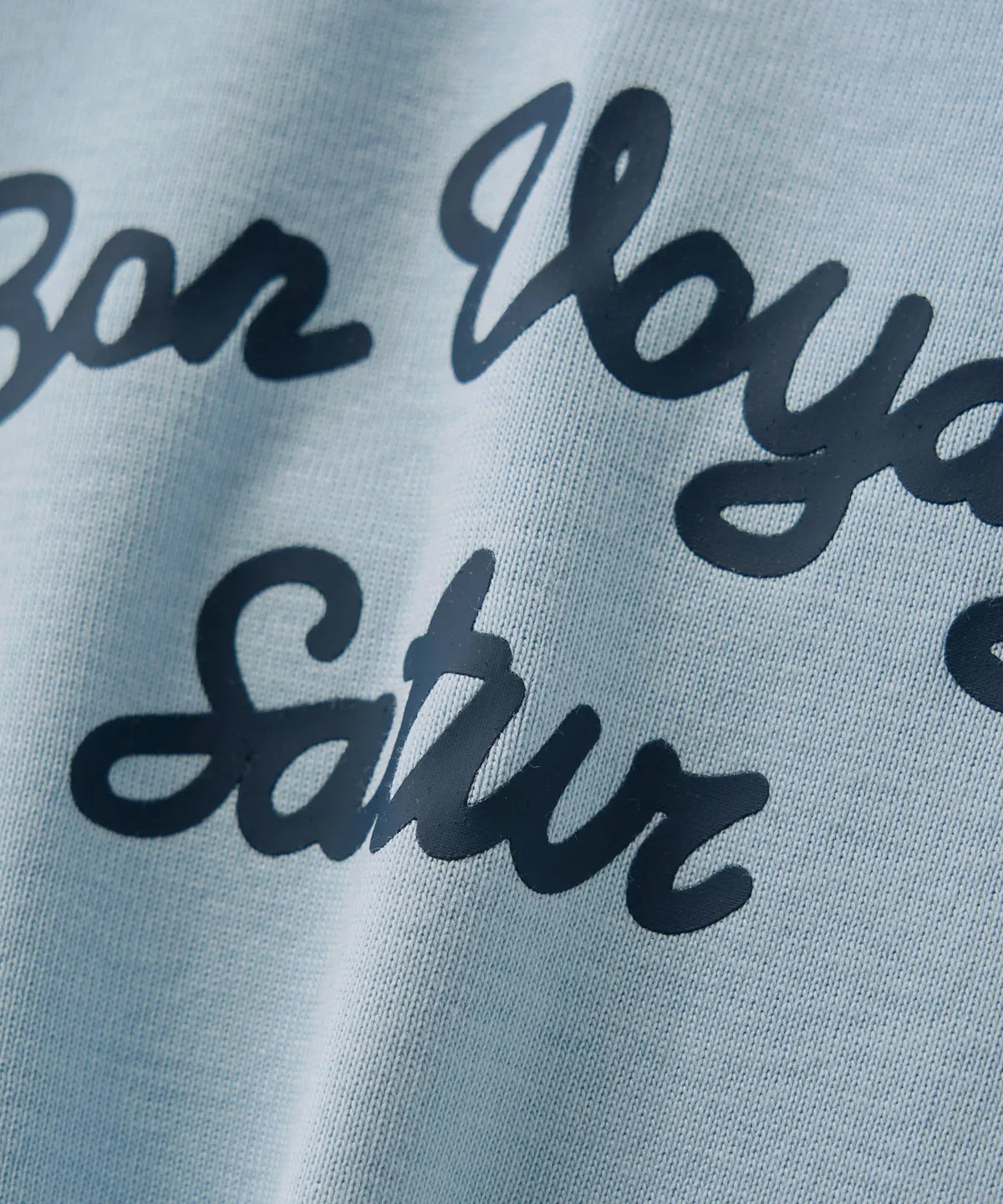 Bon Voyage Slim Fit Crop T-Shirt