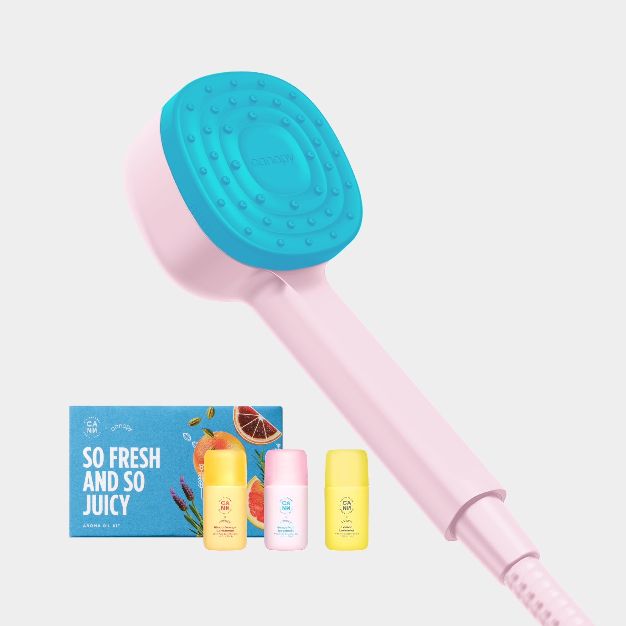 Handheld Filtered Showerhead