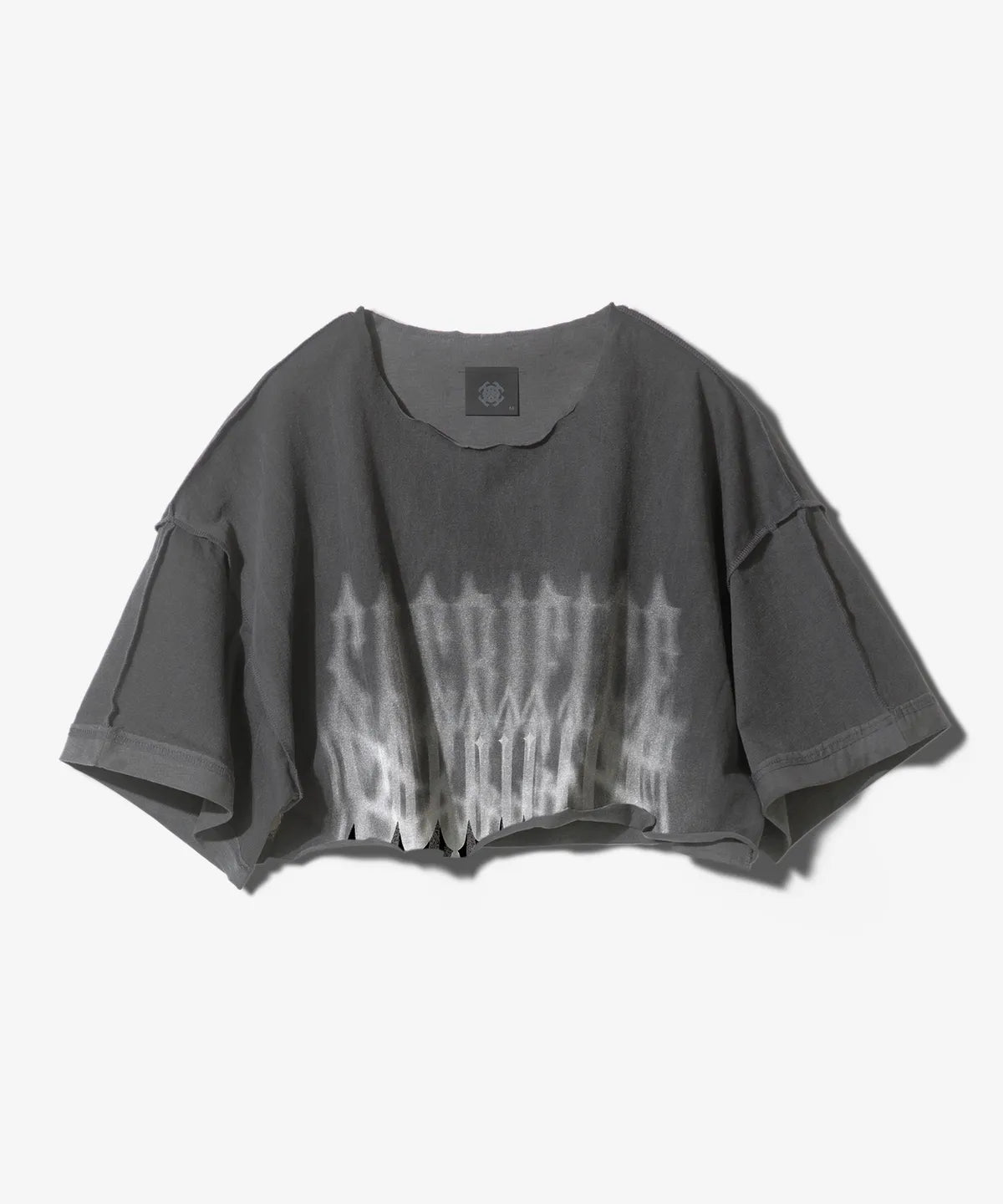 ChaosLetteringRawEdgeCropShortSleeve_1.webp