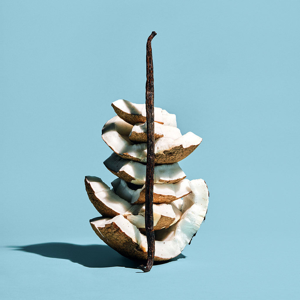 Dirty-Coconut-Natural-Ingredients_2a78bbfc-d652-4463-80a8-4247fe5909a6.jpg