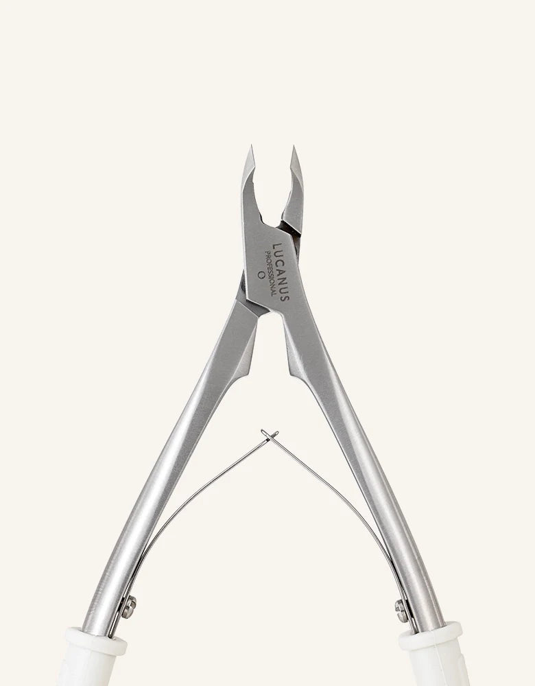 Lucanus Original Nipper