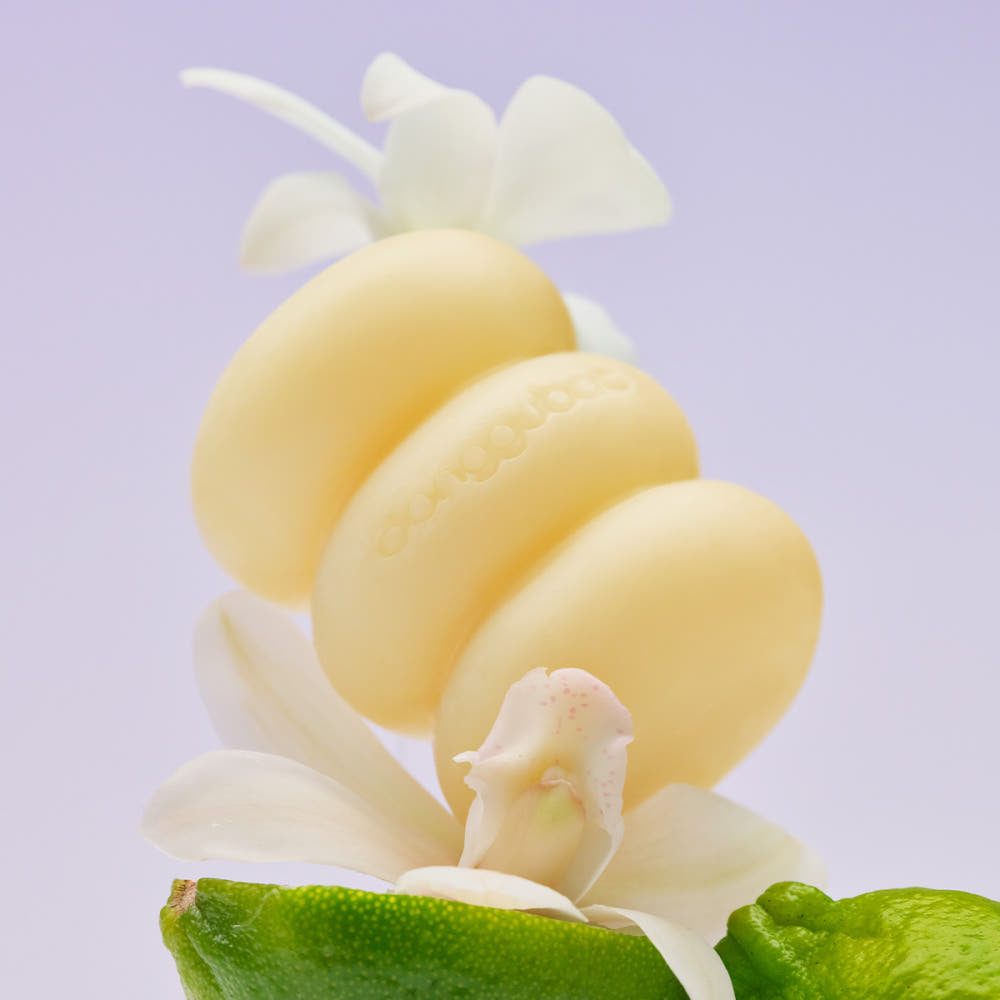 Donggubat Eau de Toilette Object Perfume Bar (Mellow Rosa Garden / Pure Neroli)