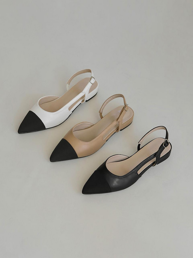 IMG_6797_bfa0f641-3dac-40c3-b2db-d5c1ab845f5d.png