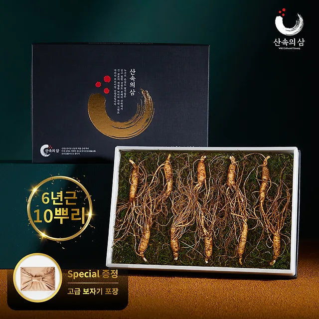 [Mountain Ginseng] 10 Roots of 100% Domestically Produced, "Healthy" 6-Year-Old Premium Wild Ginseng