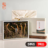 Seol Hye-dam 5-6 year old premium genuine wild ginseng 5 roots / wild ginseng grown in Gangwon-do