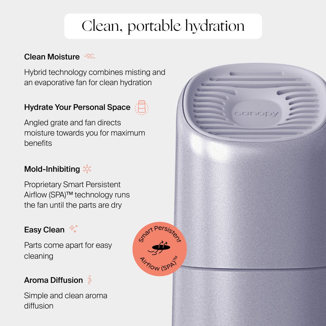 Portable Humidifier