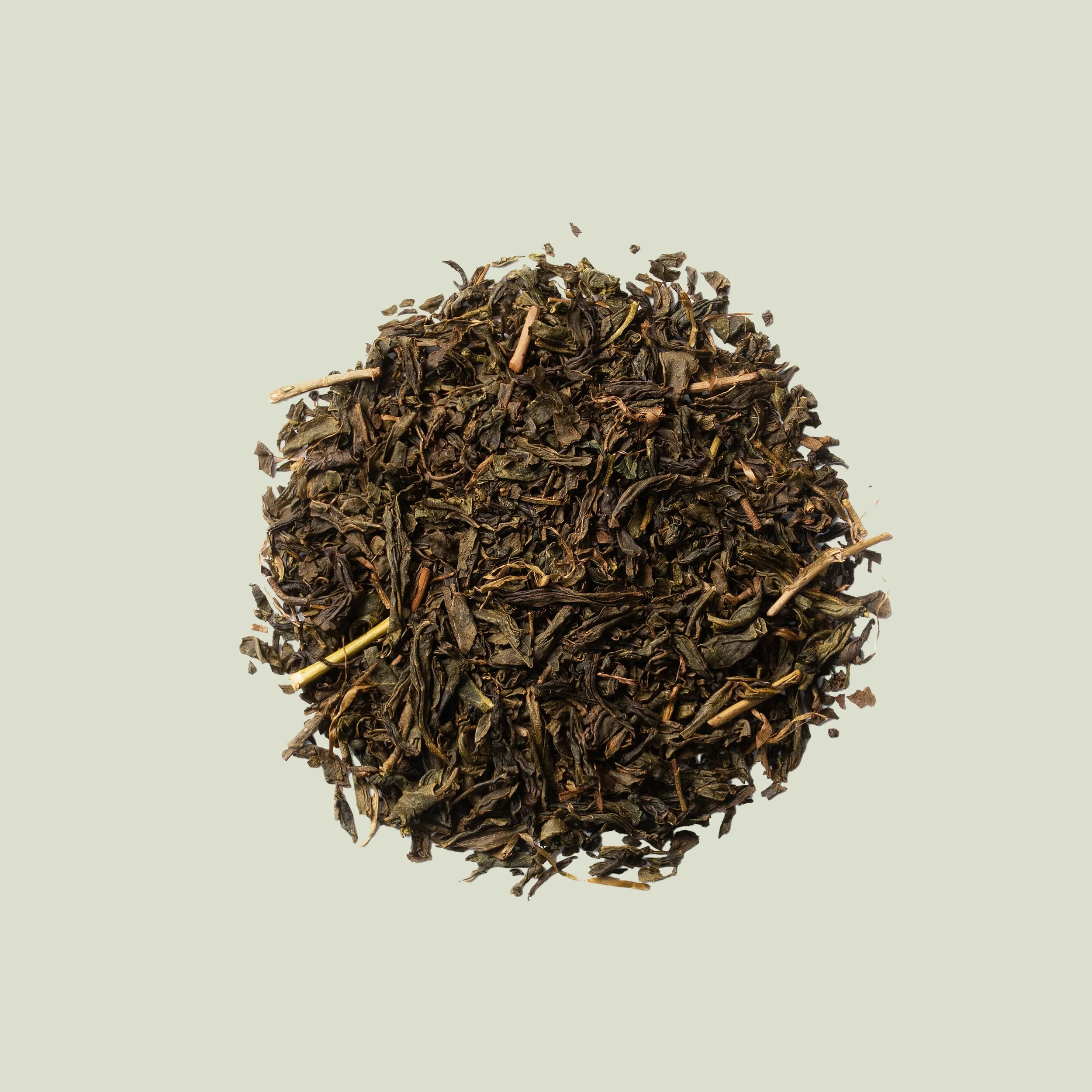 JejuHojicha_1.webp