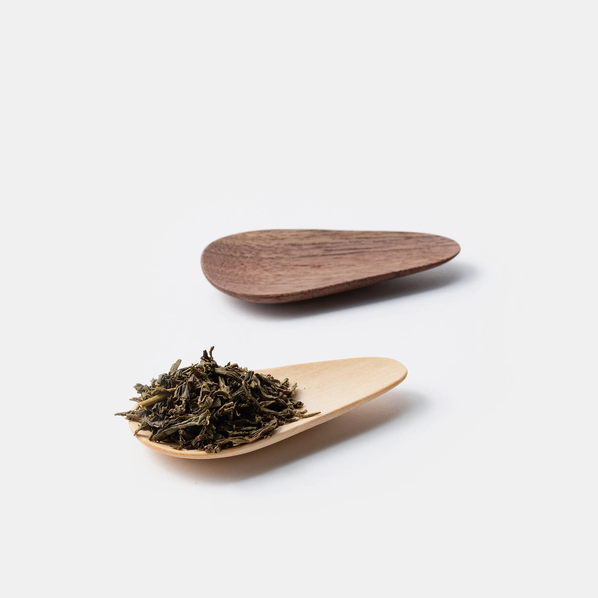JejuHojicha_2.webp