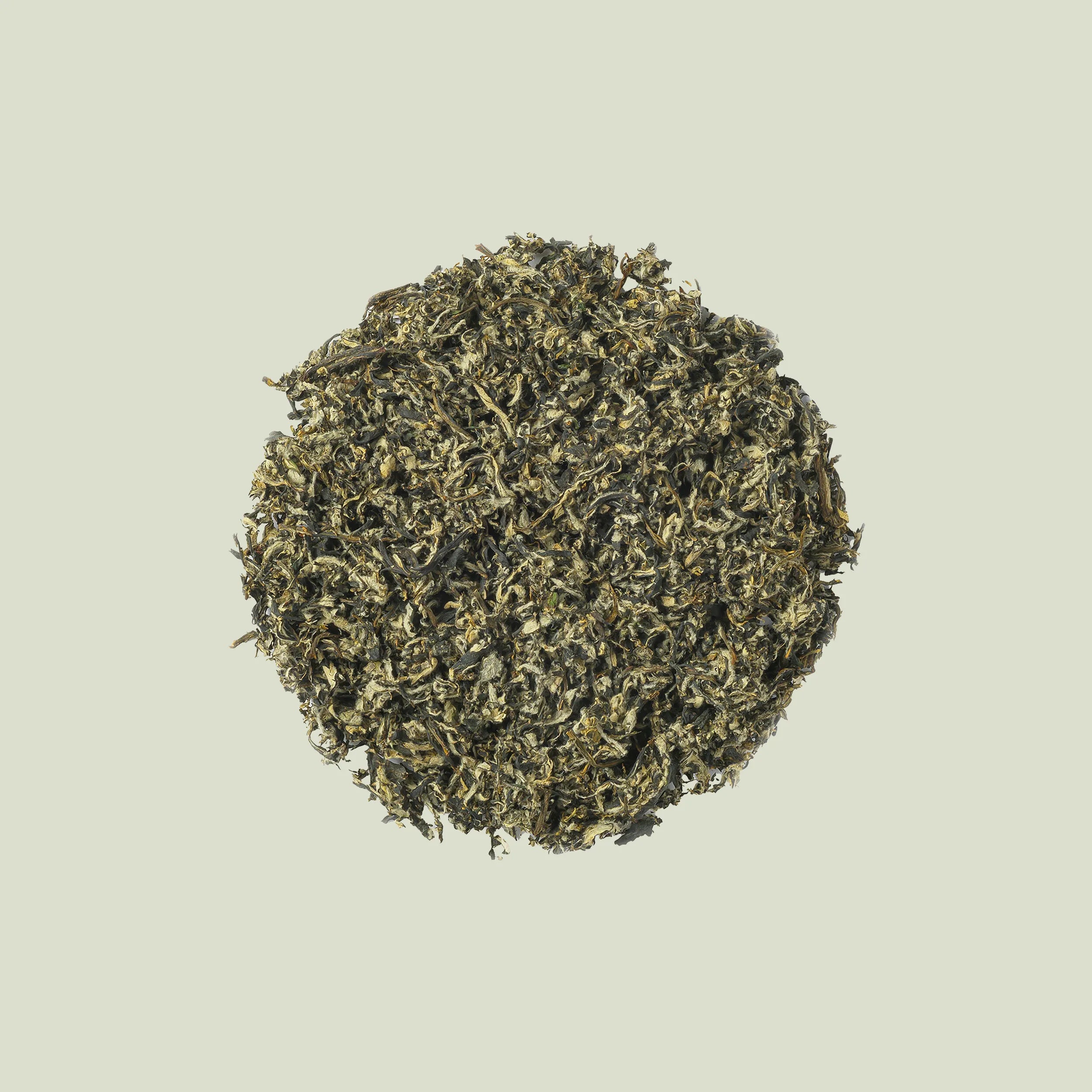JejuMugwortTea.webp