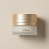 Solid Volume Core Cream 50ml