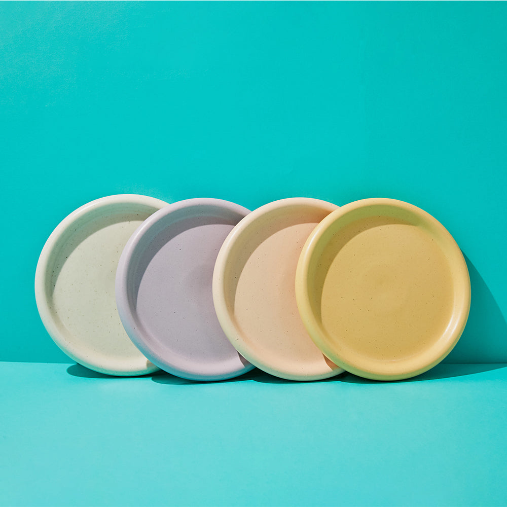 Large Plate