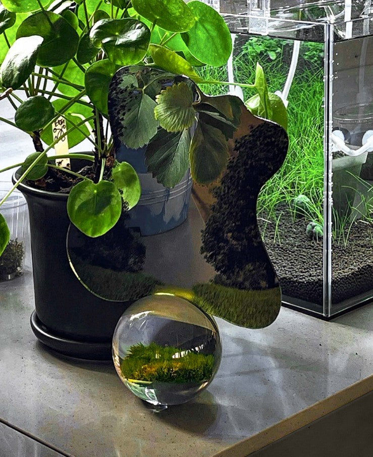 Leejae Moss Ball Mirror