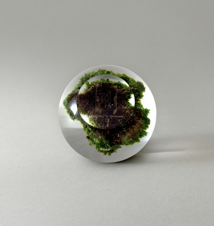 Leejae Moss Ball Mirror