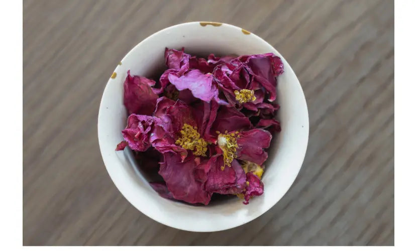 Like Camellia Like Camellia