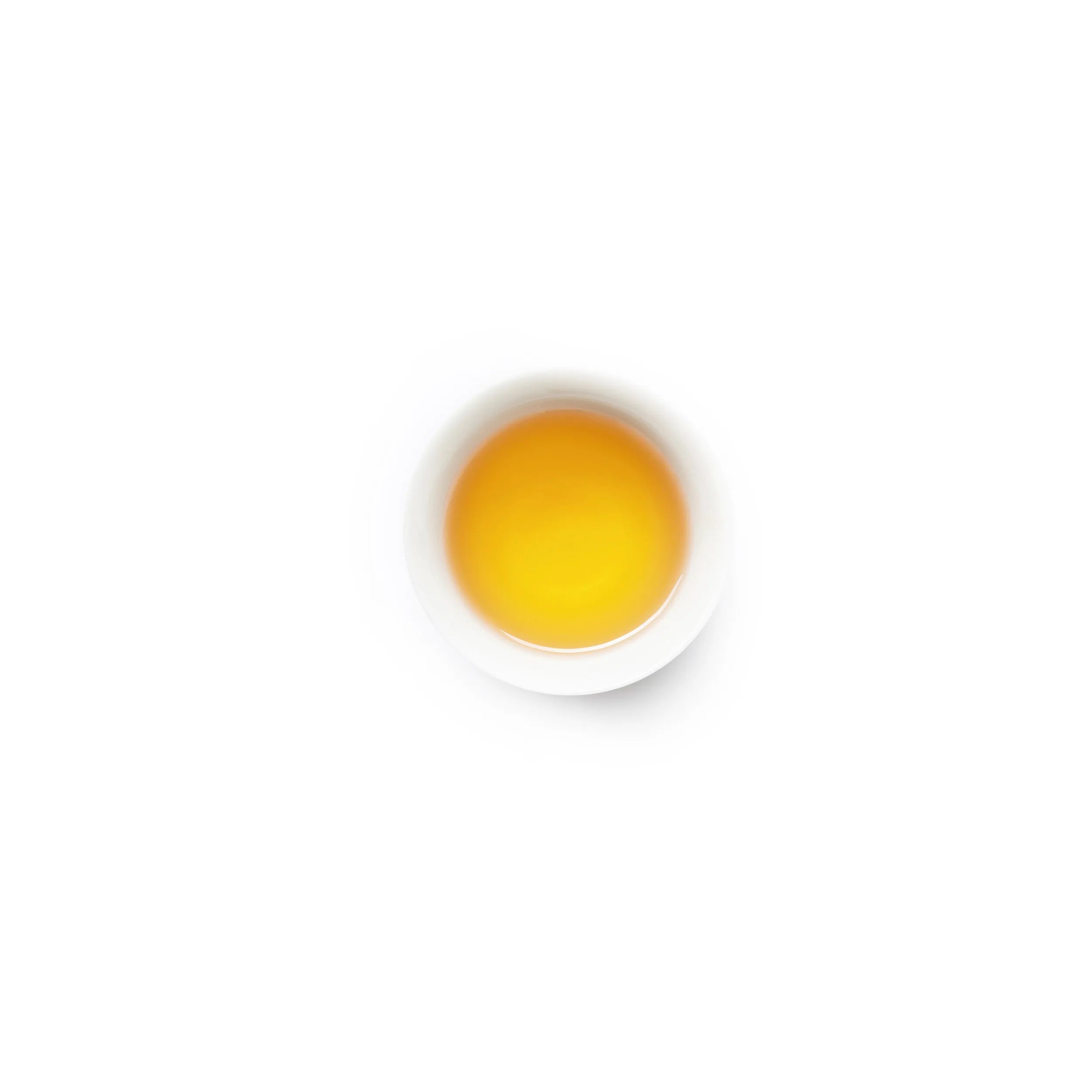 NightOfGotjawal_3.webp