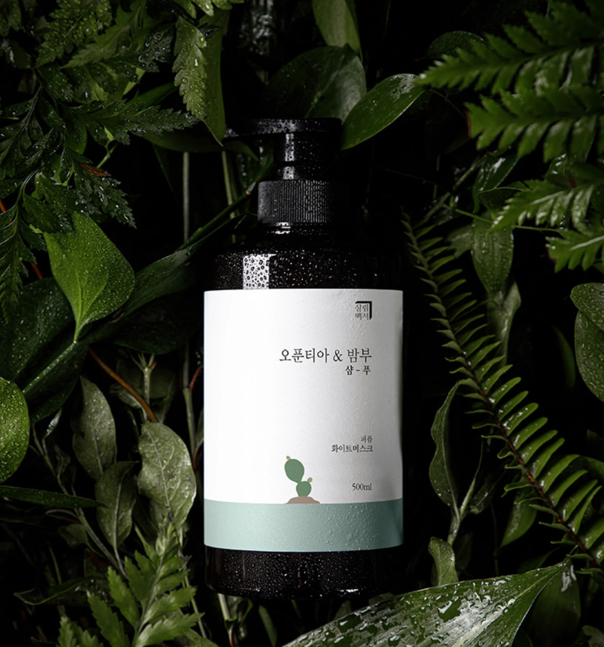 Opuntia-shampoo2.webp