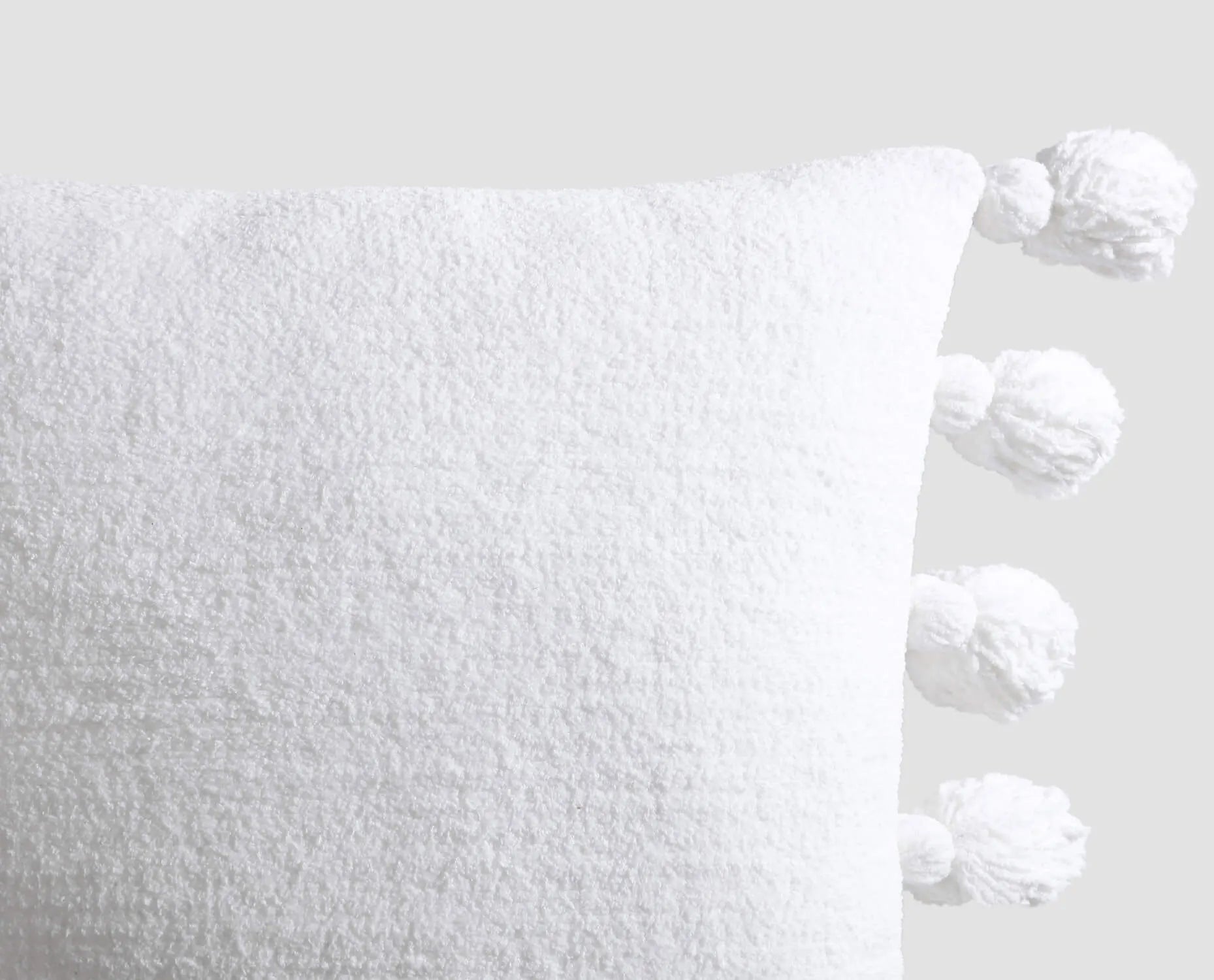 Pom Pom Throw Pillow | Last Chance