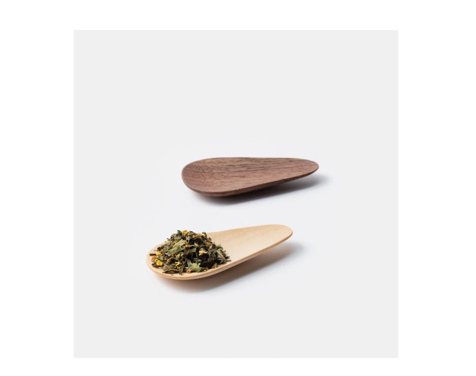 Night of Gotjawal (TEA BAG BOX)