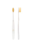 Toosty Golden Toad Toothbrush