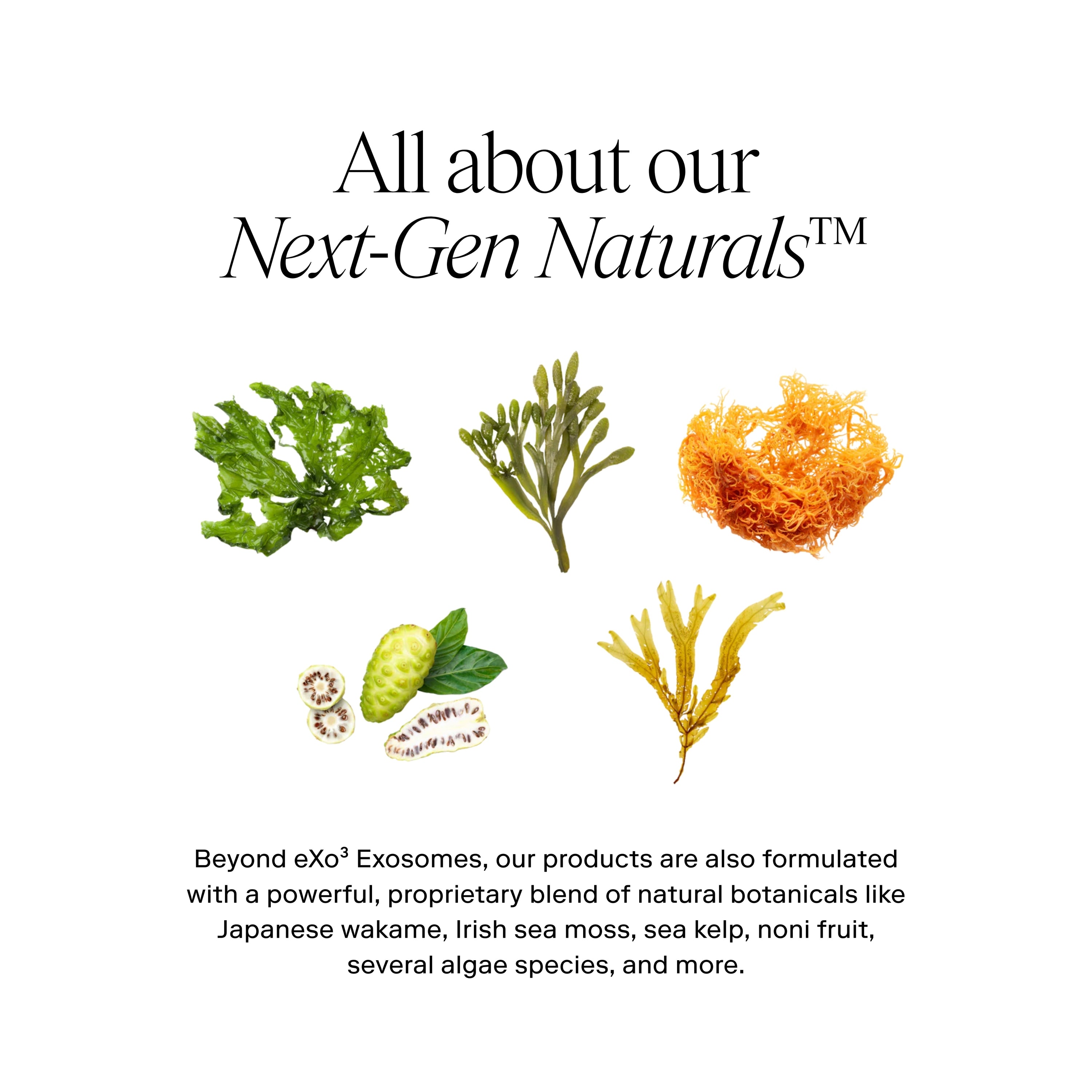 EXO PLUS® Anti-Aging Cream / eXo³ Exosomes®