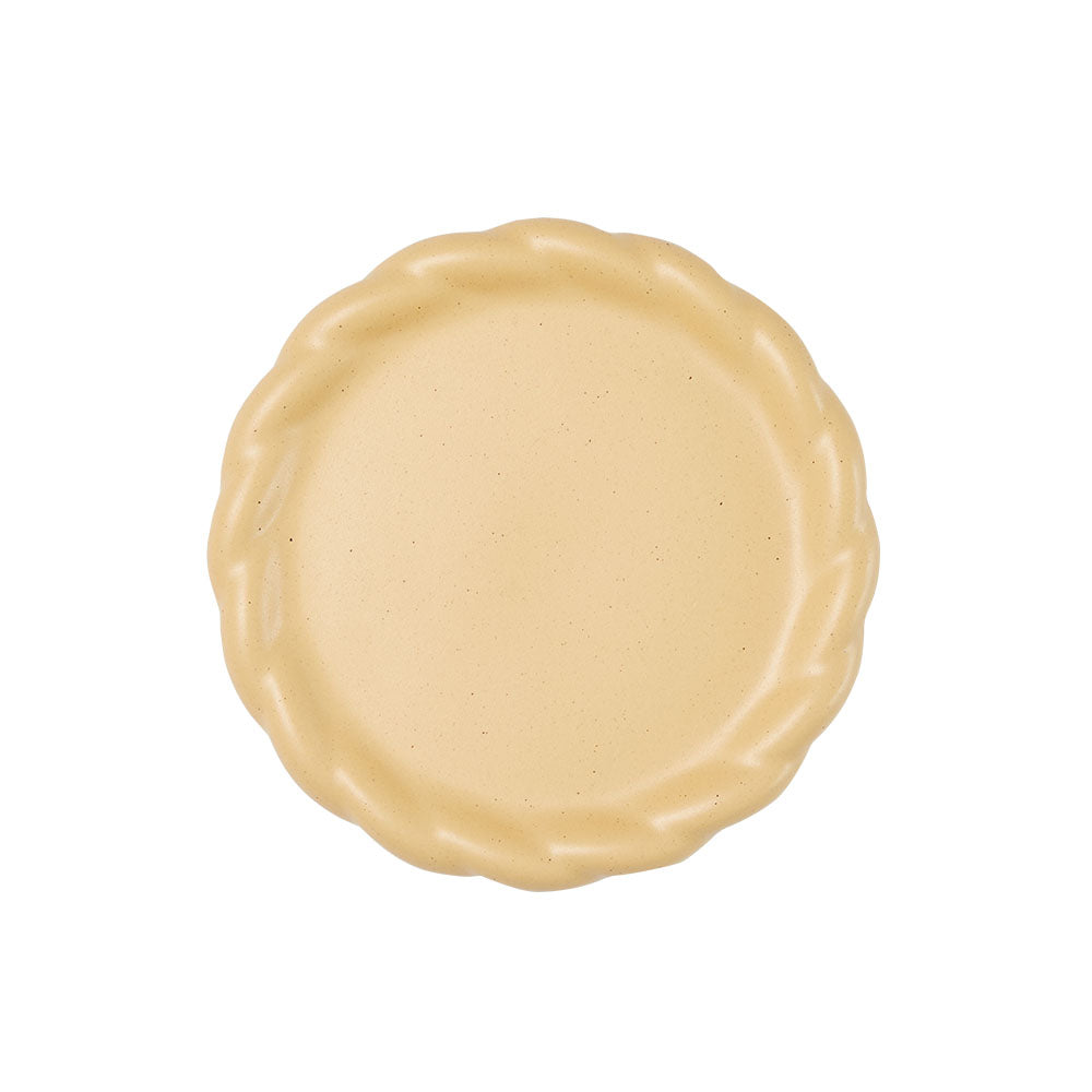 bef_plateS_yellow.jpg