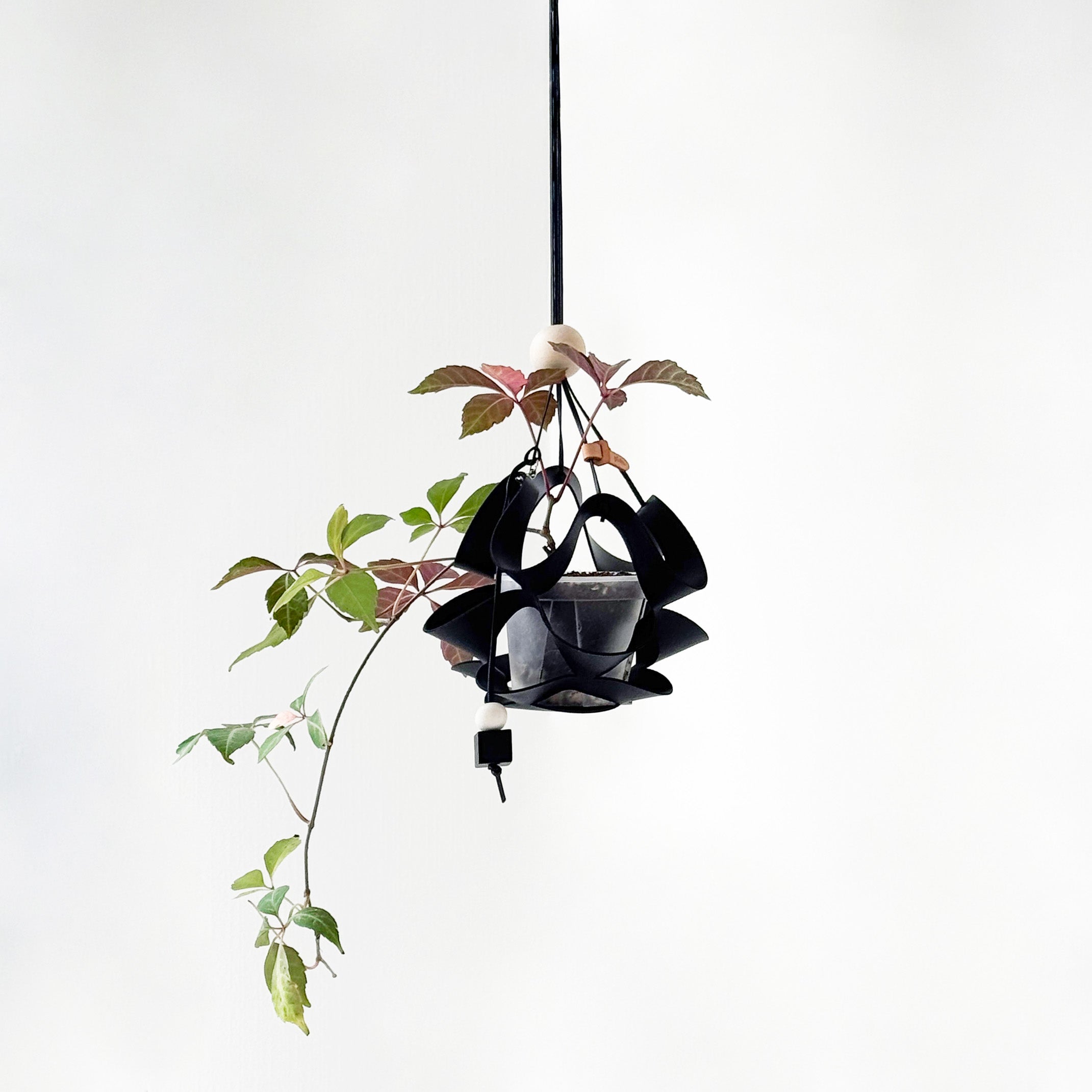 hanging plant covers Plats Hanging Pot Cover Dangle P (Petite Size) – KBX
