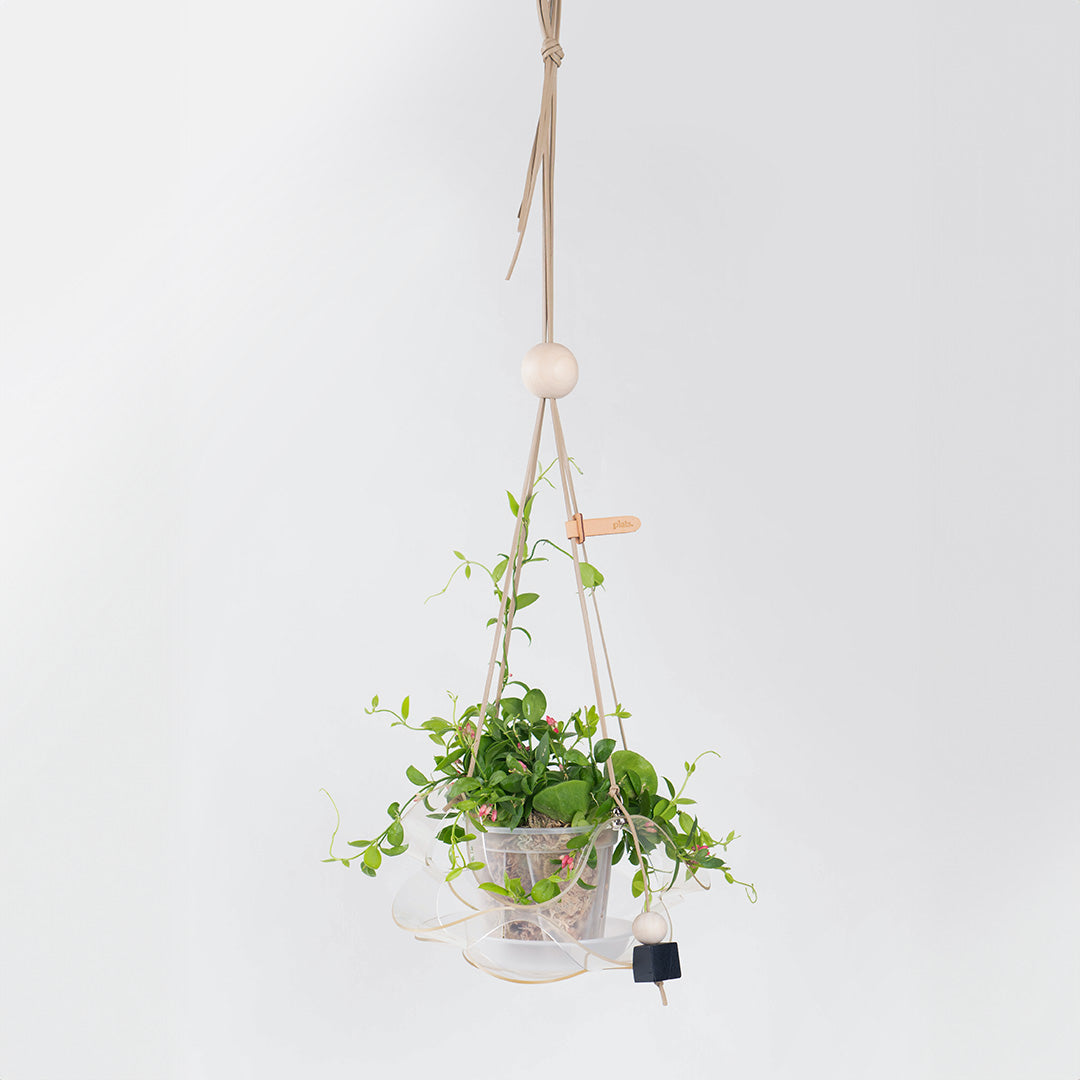 Plats Hanging Pot Cover Dangle P (Petite Size)