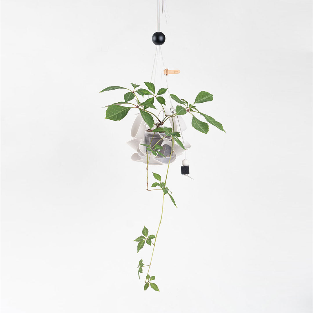 hanging plant covers Plats Hanging Pot Cover Dangle P (Petite Size)