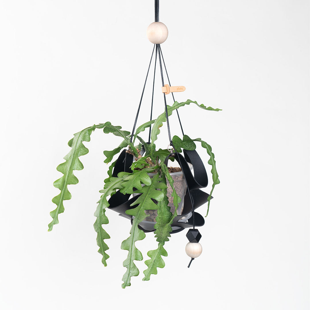 hanging plant covers Plats Hanging Pot Cover Dangle XS – KBX