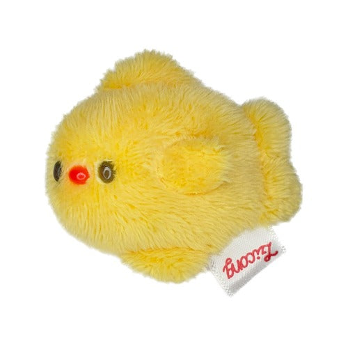 Carp carp