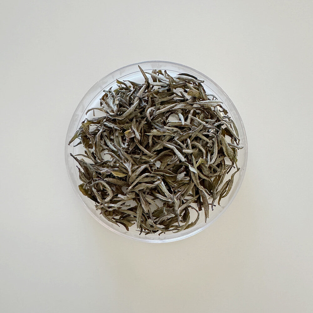 Sannolu Fresh Jeju white tea