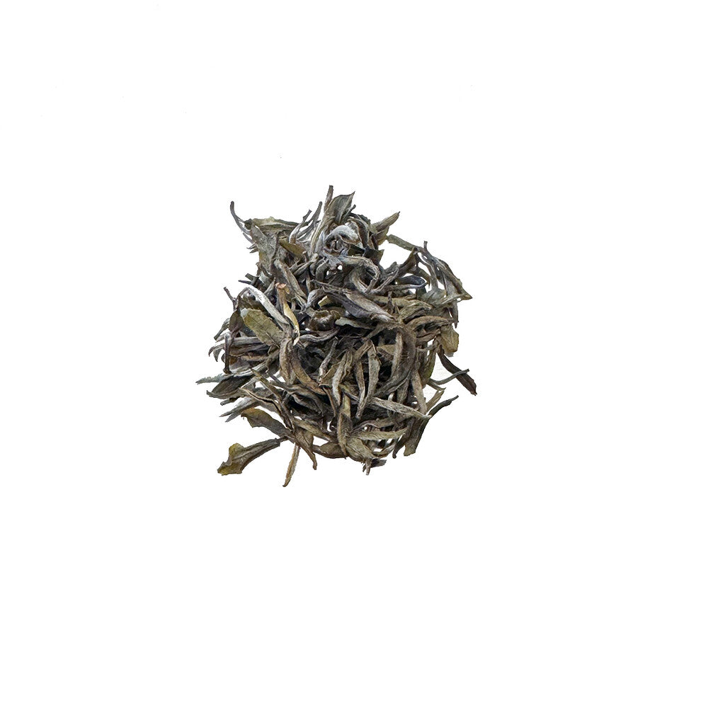 Sannolu Fresh Jeju white tea