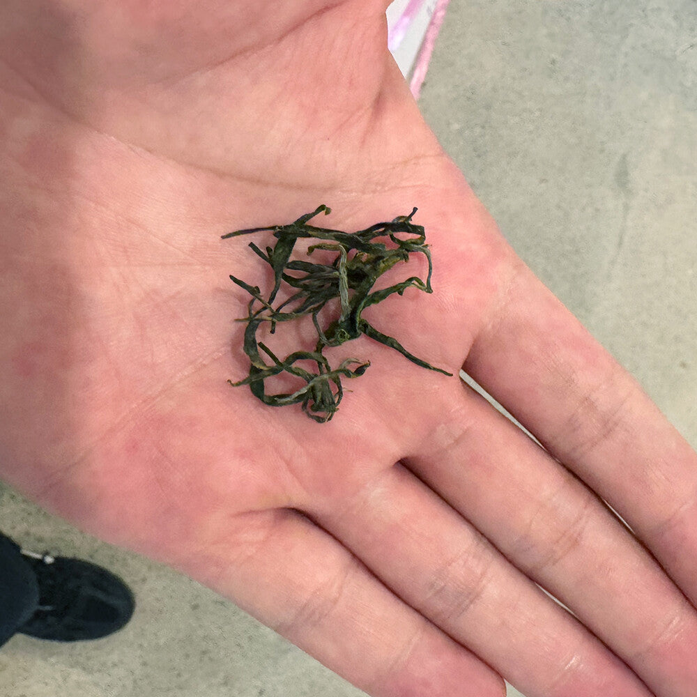 Sannolu Hand-picked Green Tea Sejak 50g