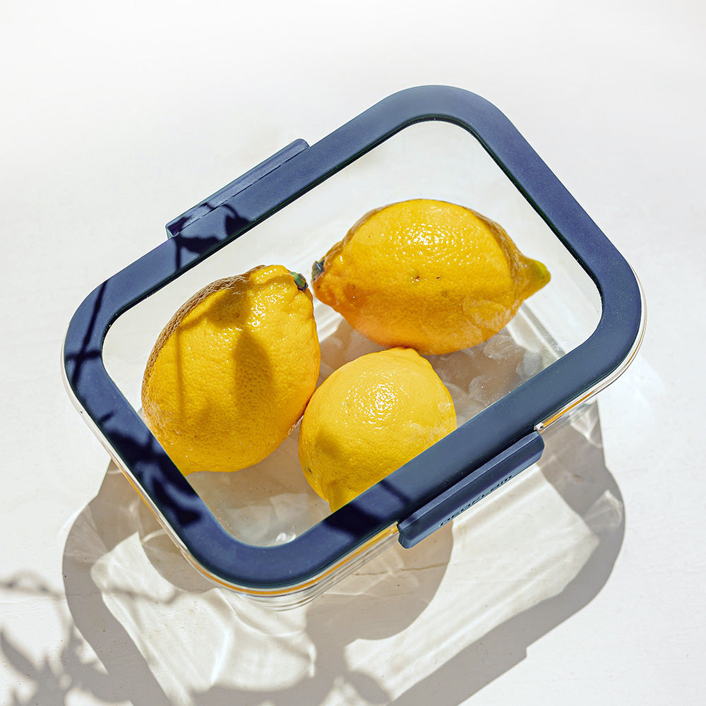Glace Rectangle Food Storage - Navy Lid