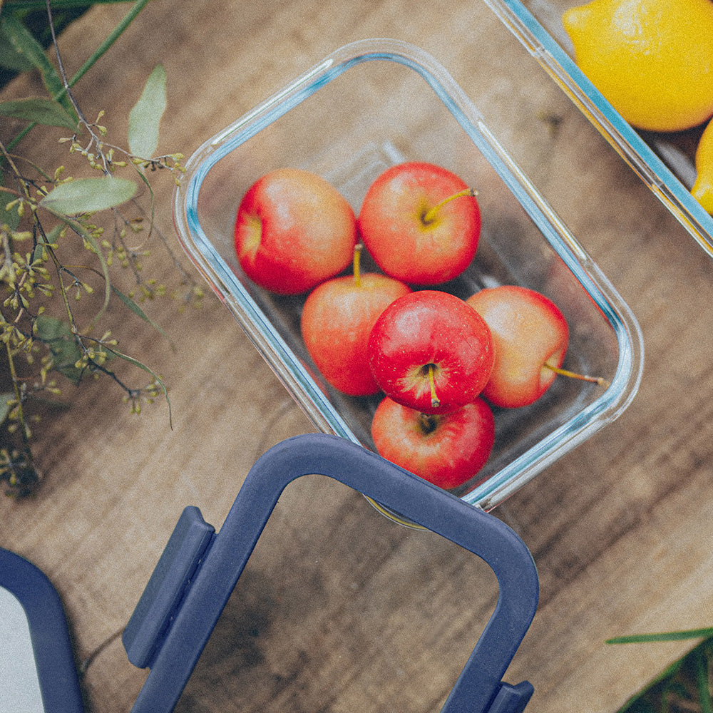 Glace Rectangle Food Storage - Navy Lid